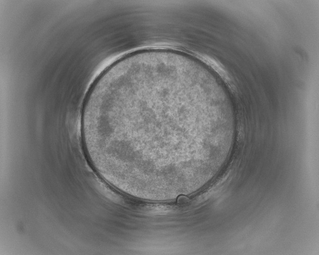 X0000114651420200911171041