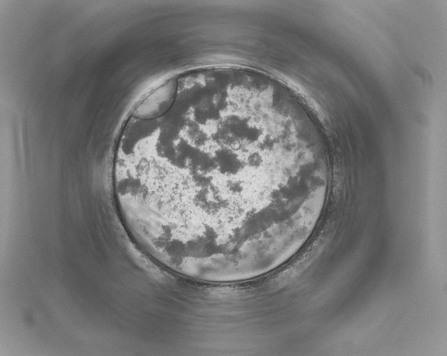 X0000114651421200911171041