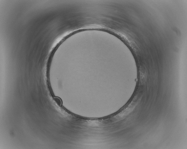 X0000114651422200911171041