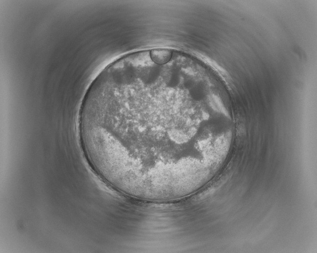 X0000114651423200911171041