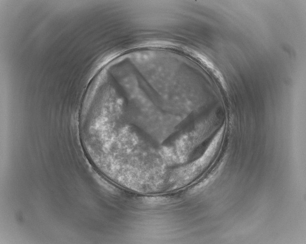 X0000114651425200911171041