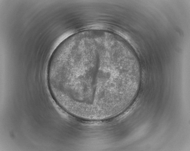 X0000114651426200911171041