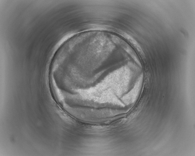 X0000114651427200911171041