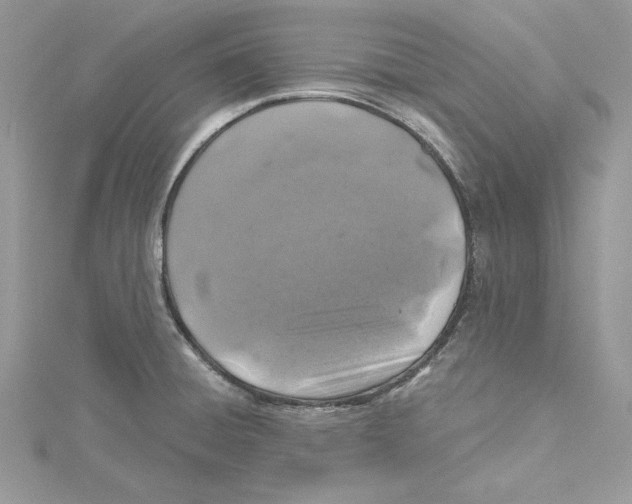 X0000114651428200911171041