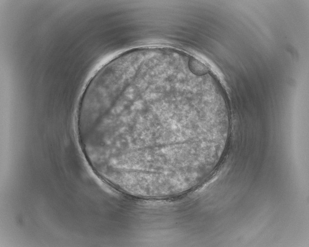 X0000114651429200911171041