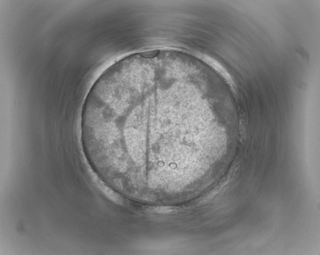 X0000114651431200911171041