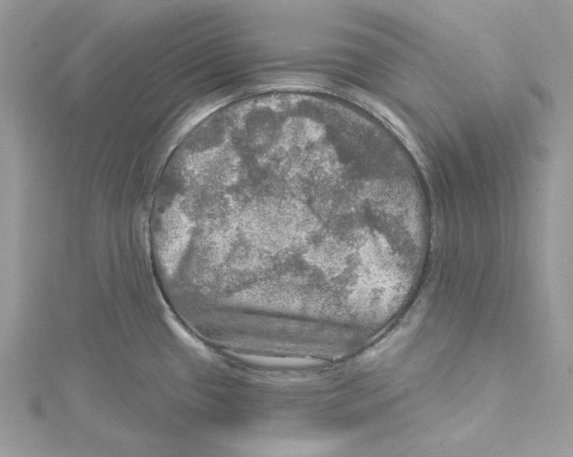 X0000114651433200911171041