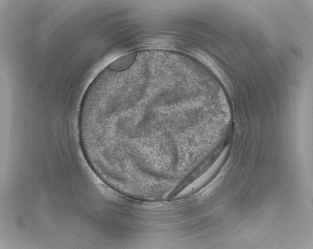 X0000114651434200911171041