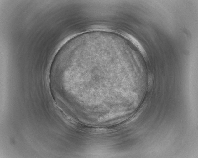 X0000114651435200911171041