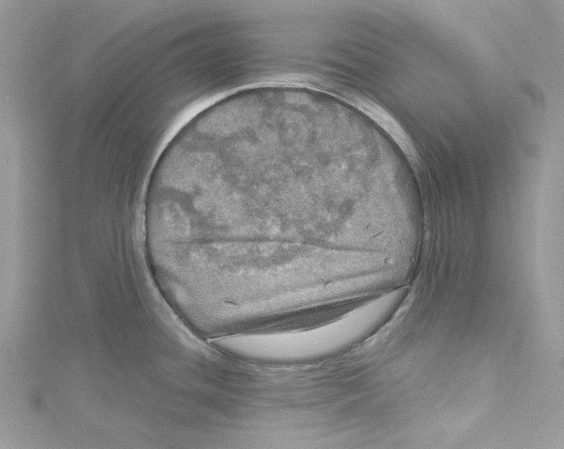 X0000114651436200911171041