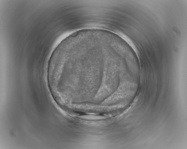 X0000114651437200911171041