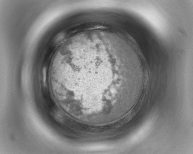 X0000114651439200911171041