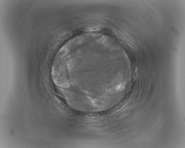 X0000114651441200911171041