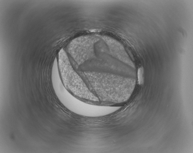 X0000114651443200911171041