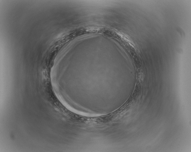 X0000114651445200911171041