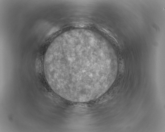 X0000114651446200911171041