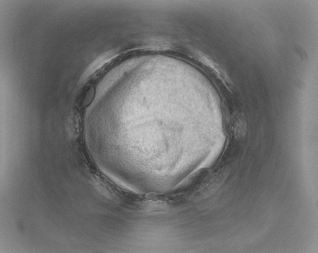 X0000114651448200911171041