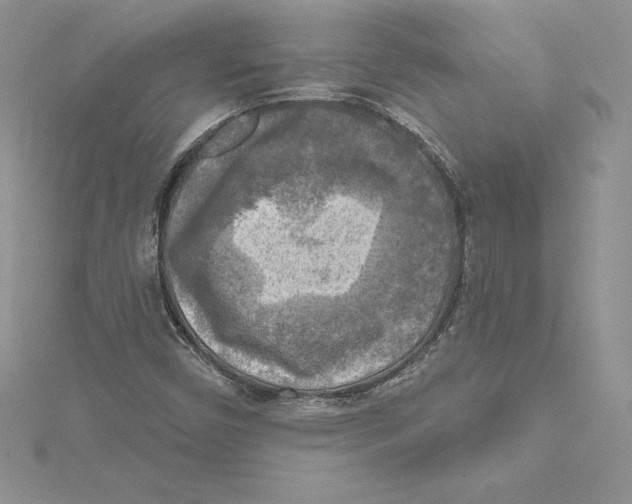 X0000114651450200911171040