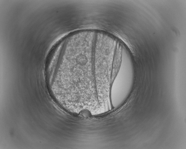 X0000114651452200911171040