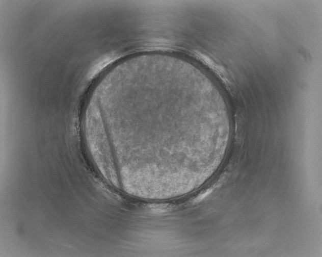 X0000114651453200911171040