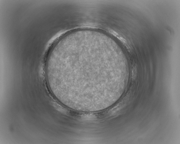 X0000114651454200911171040