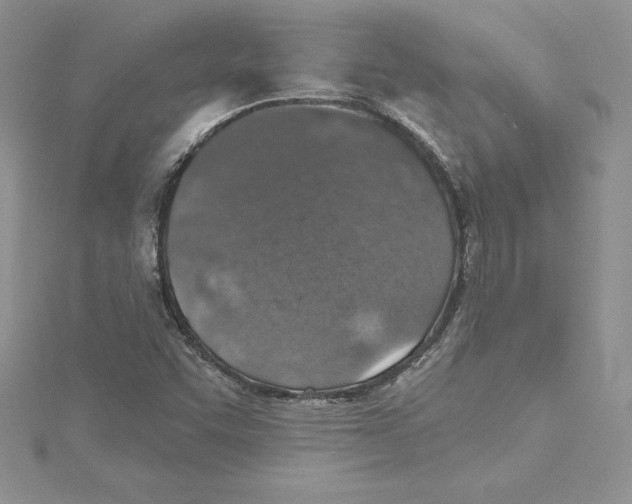 X0000114651455200911171040