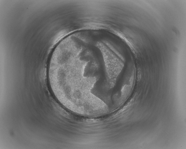 X0000114651459200911171040