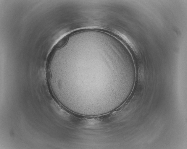 X0000114651460200911171040