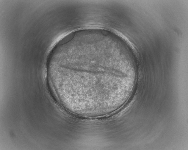 X0000114651461200911171040