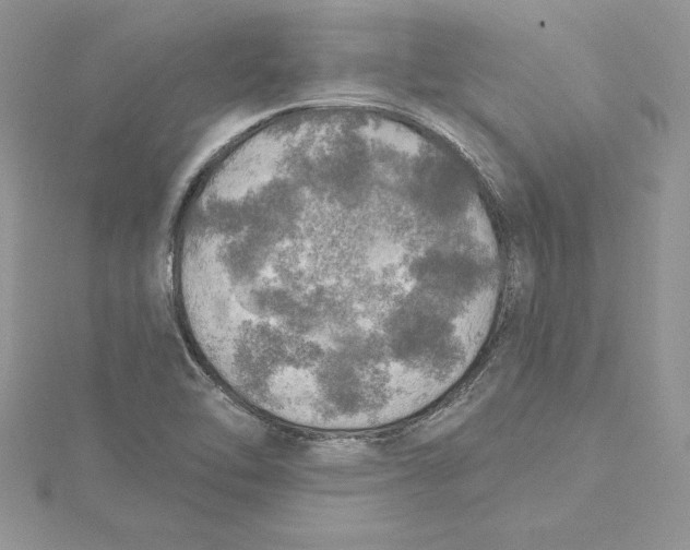 X0000114651462200911171040