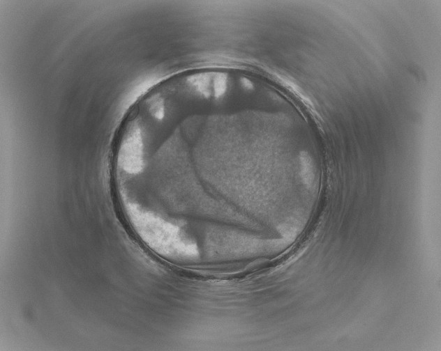 X0000114651463200911171040