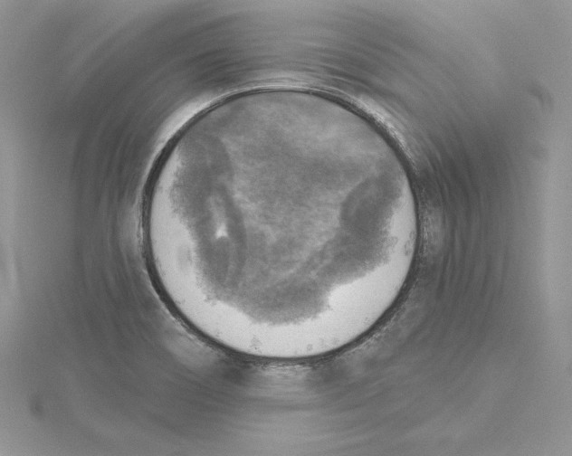 X0000114651466200911171040