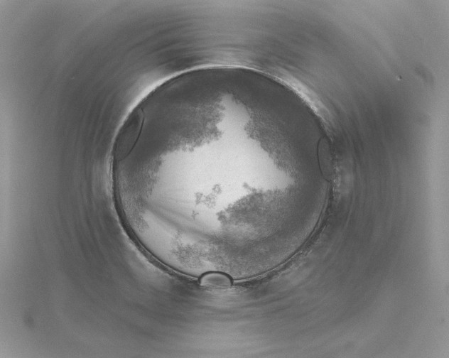 X0000114651468200911171040