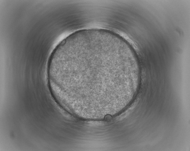 X0000114651469200911171040