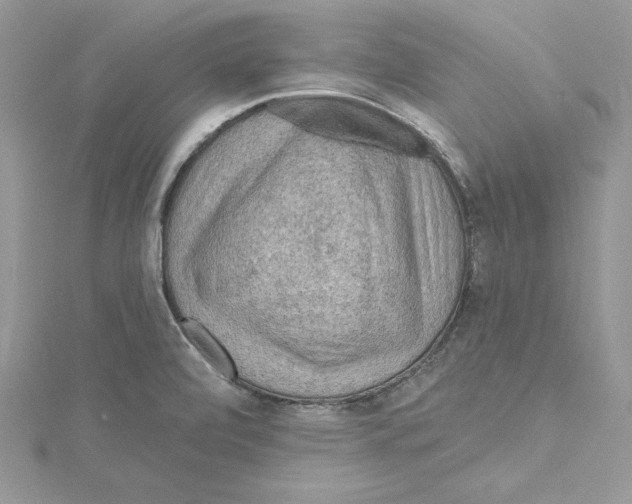 X0000114651472200911171040