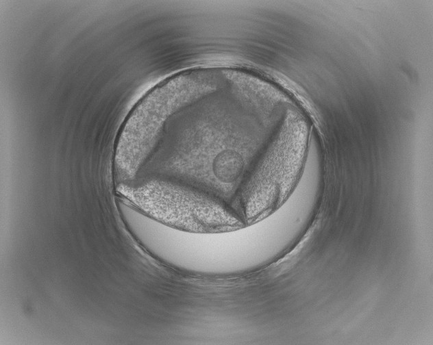 X0000114651473200911171040