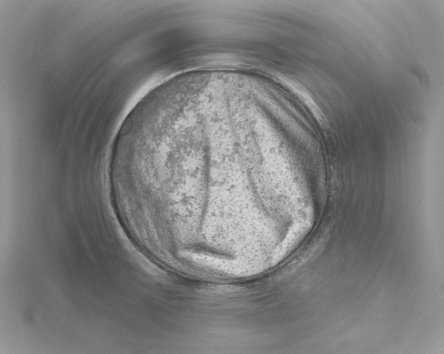 X0000114651475200911171040