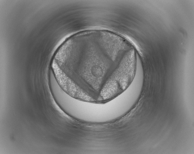 X0000114651476200911171040