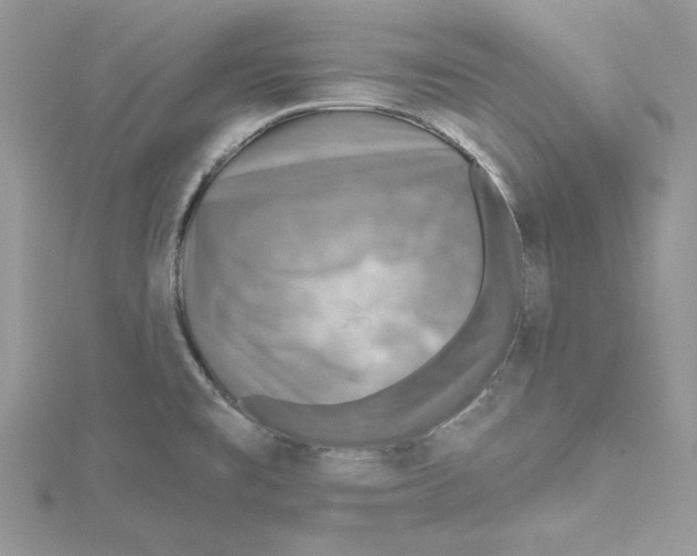 X0000114651477200911171040