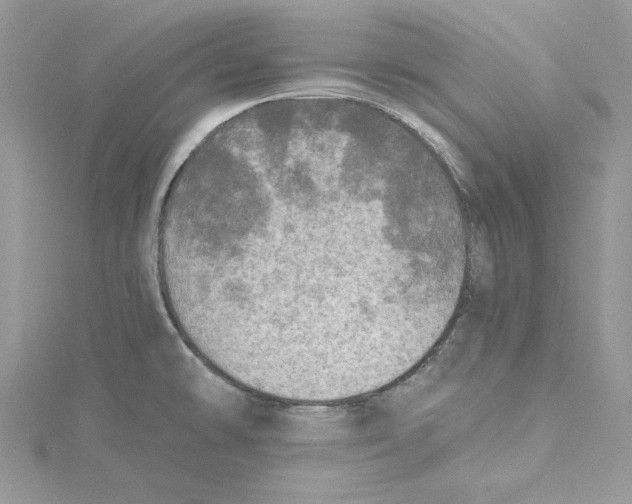 X0000114651478200911171040