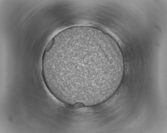 X0000114651479200911171040