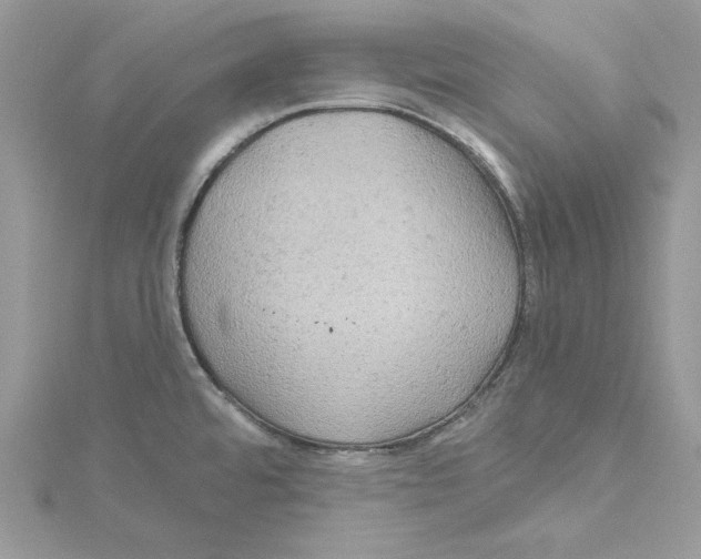 X0000114651480200911171040