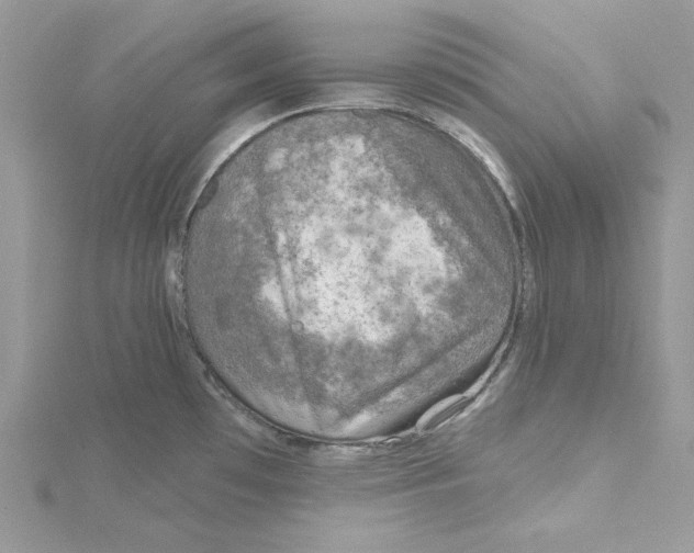 X0000114651481200911171040