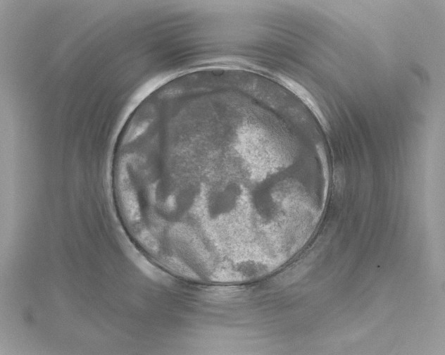 X0000114651482200911171040