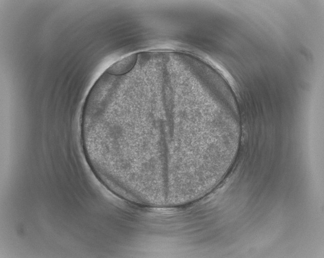 X0000114651483200911171040