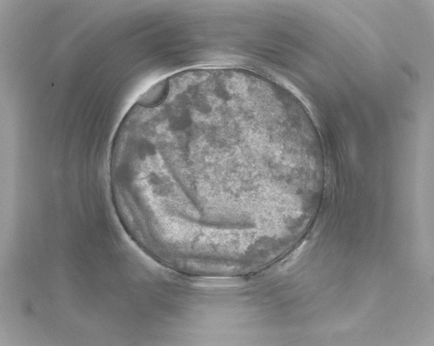 X0000114651487200911171040