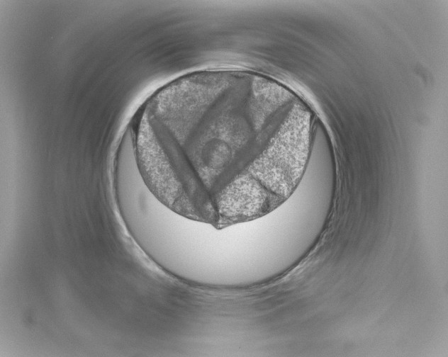 X0000114651488200911171040