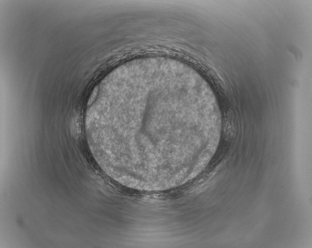 X0000114651490200911171039