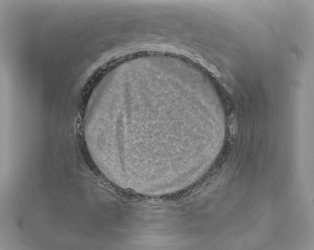 X0000114651495200911171039