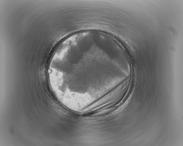 X0000114651497200911171039